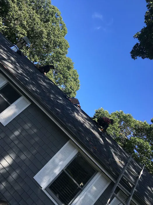 Nadales Renovations Picture 6