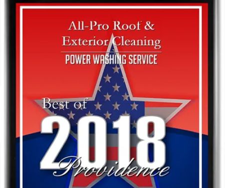 All-Pro Soft Wash Pro's Roof cleaning
