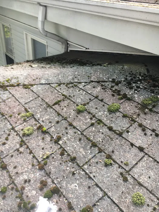 All-Pro Soft Wash Pro's Roof cleaning Picture 6