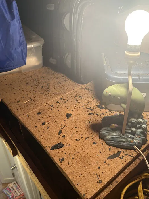 Brothers Roofing Picture 2