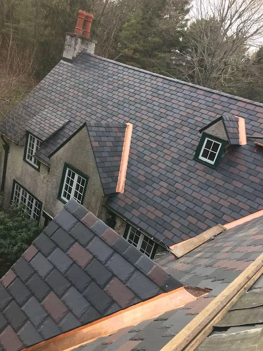 Bosworth Roofing Remodeling Picture 6