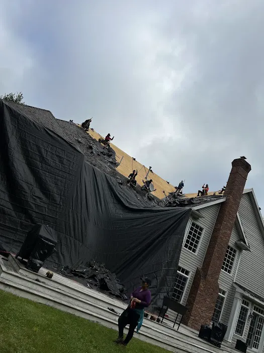 Bosworth Roofing Remodeling Picture 4