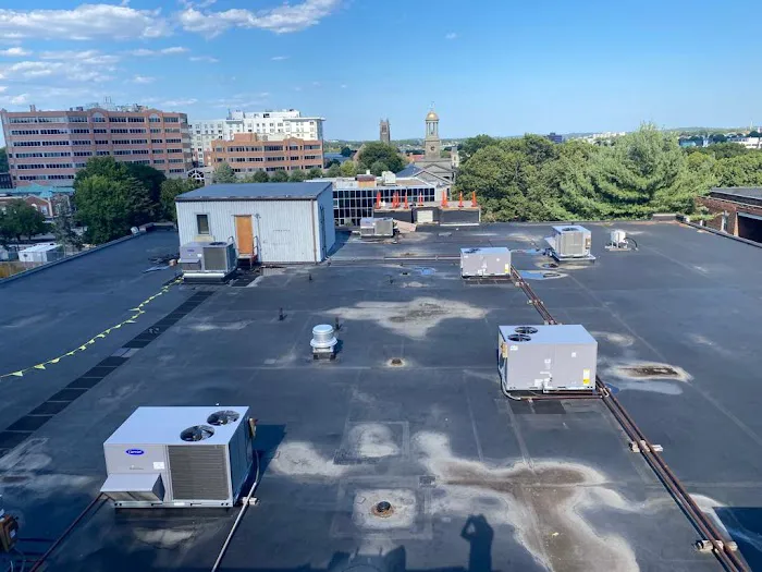 Top Quality Roofing Picture 9