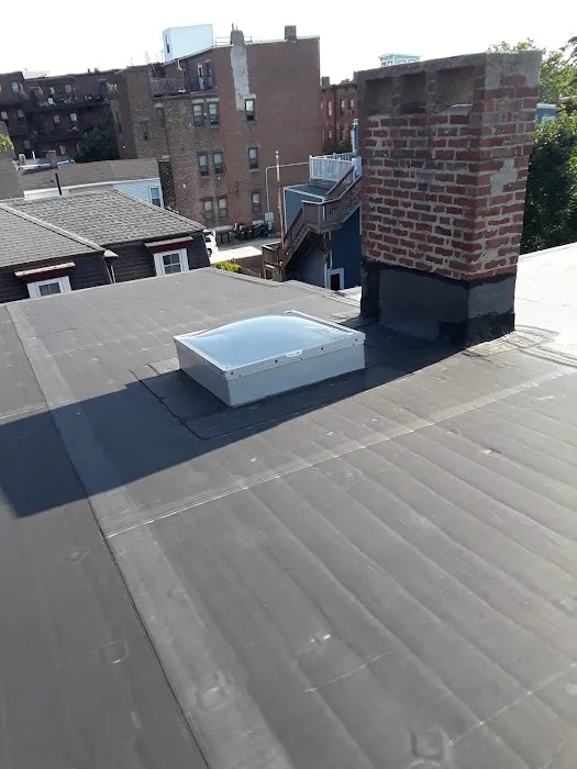 Mr Cat Roofer Picture 5