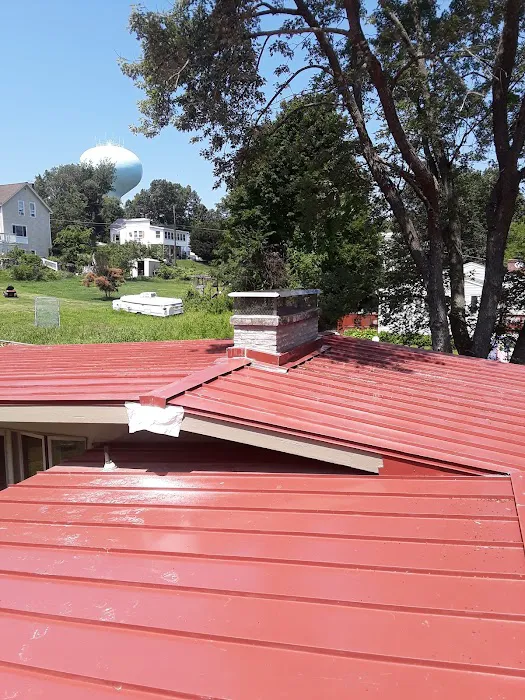 Mr Cat Roofer Picture 8