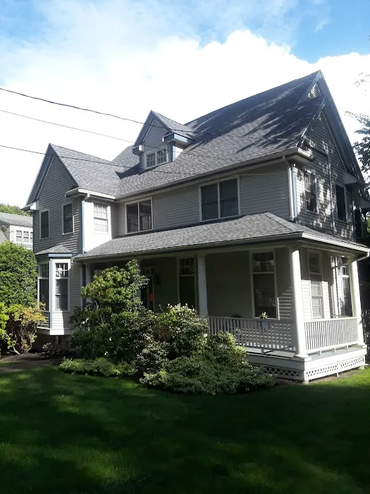 Mr Cat Roofer Picture 4