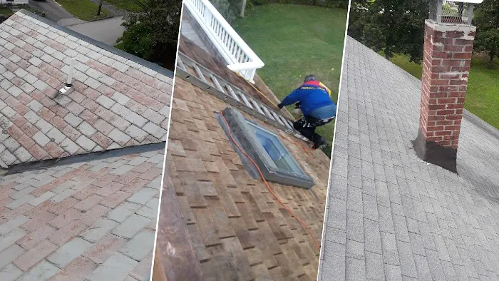 Mr Cat Roofer Picture 3