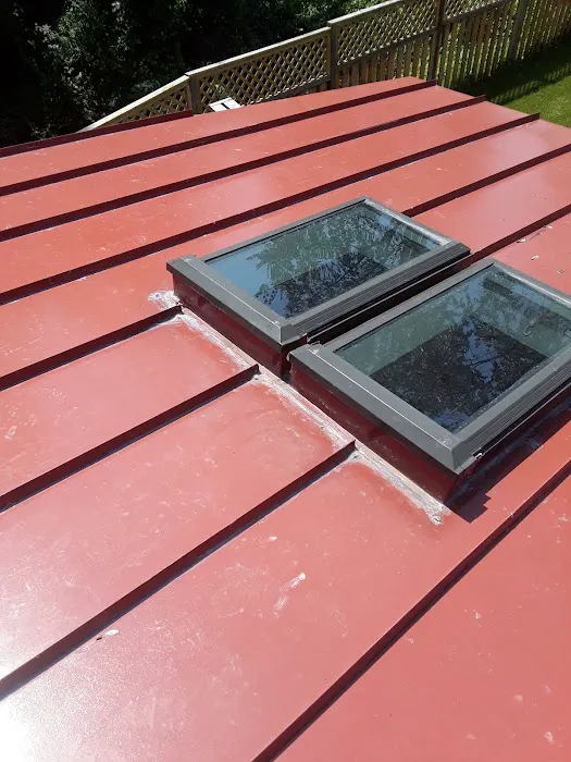 Mr Cat Roofer Picture 1