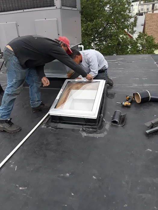 Mr Cat Roofer Picture 2