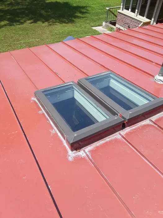 Mr Cat Roofer Picture 9