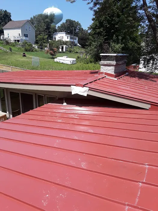 Mr Cat Roofer Picture 6