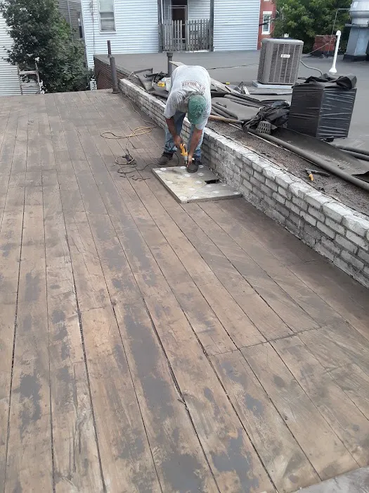 Mr Cat Roofer Picture 7