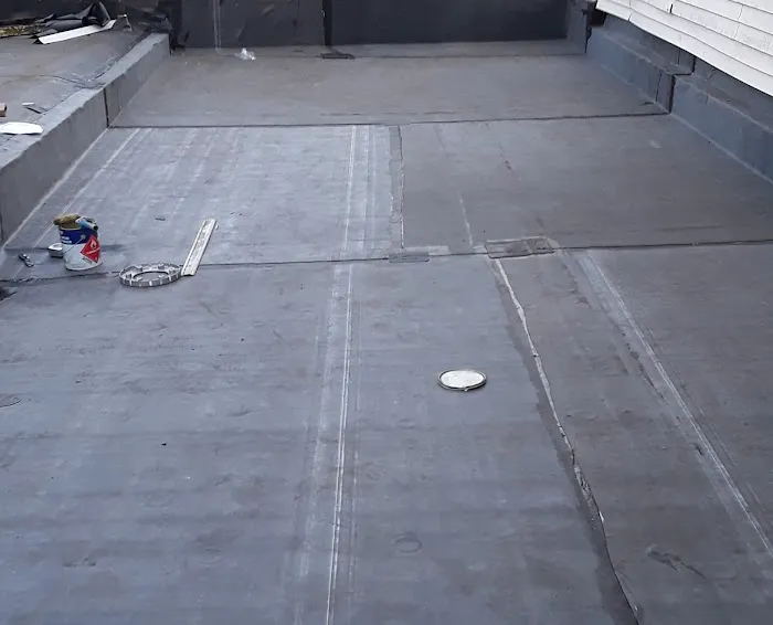 Mr Cat Roofer Picture 10