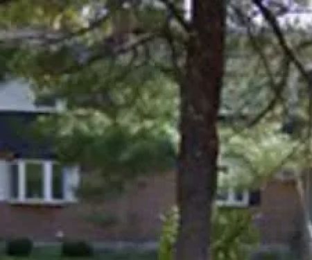 Roof Rescue By Julien Dupont