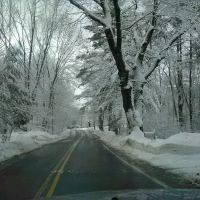 Anderson Roofing & Construction ico