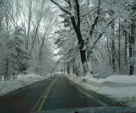 Anderson Roofing & Construction