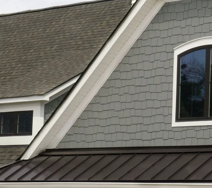 Scout Roof Rescue Picture 5