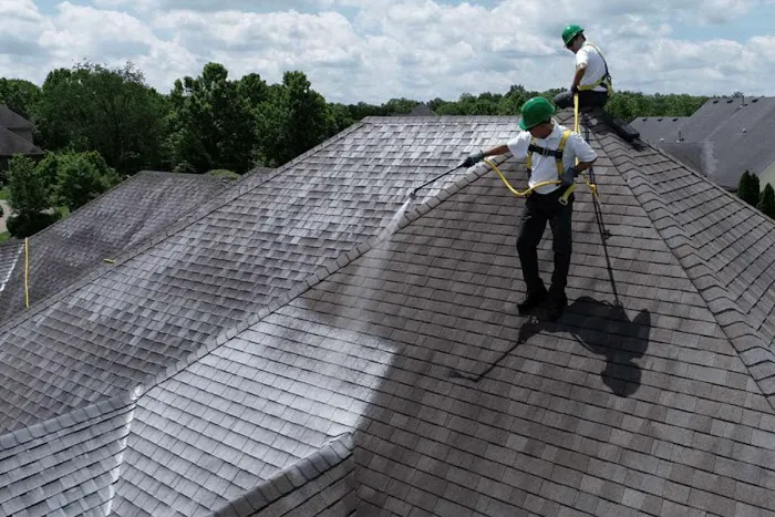 Scout Roof Rescue Picture 7