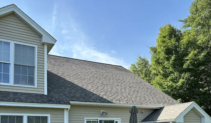 Scout Roof Rescue Picture 2