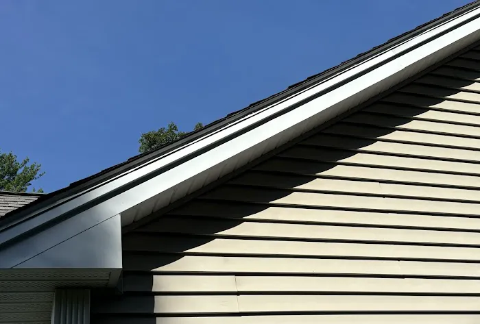 Scout Roof Rescue Picture 3