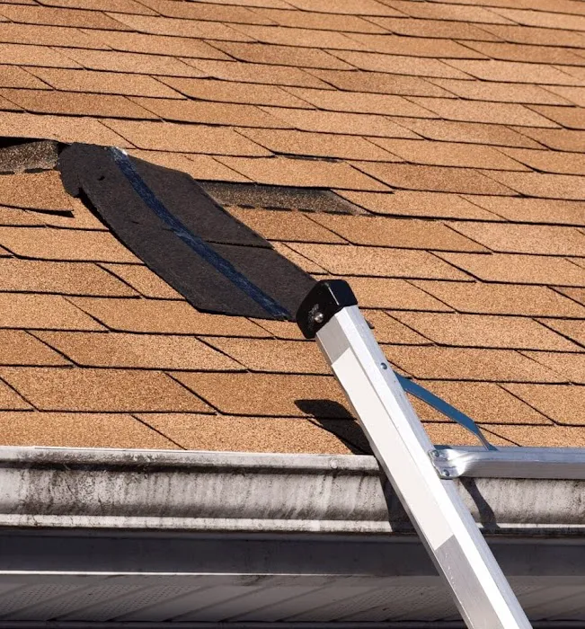 Alpine Roofing LLC Picture 8