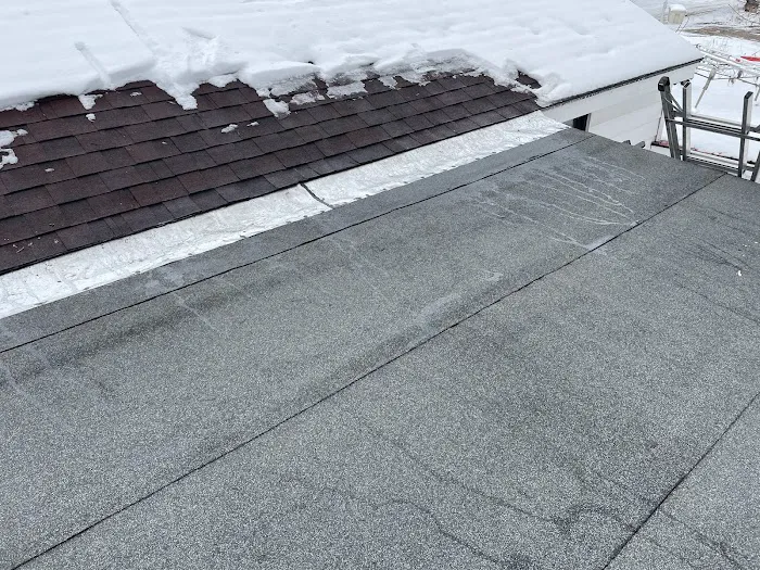 Element Roofing Picture 5