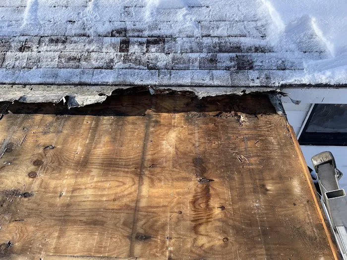 Element Roofing Picture 8