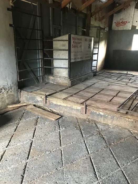 Sabens Roofing and Home Improvement Picture 6