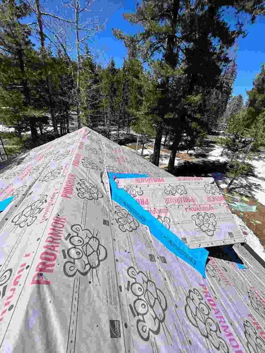 Apex Metal Roofing Picture 1