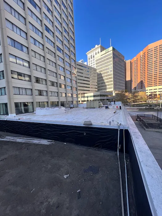 Flat Roof Company Picture 2