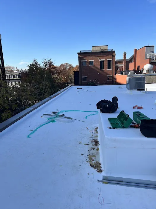 Flat Roof Company Picture 4