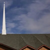 Walter Brown Services ico