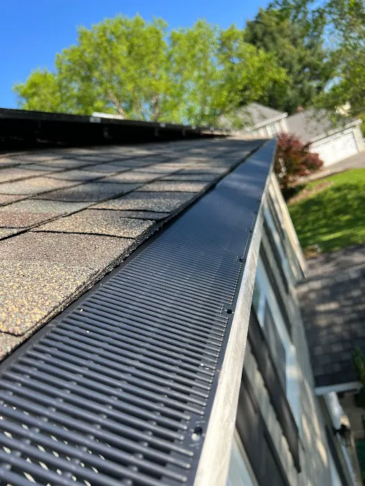 Gutter Shutter of Central Maryland Picture 4