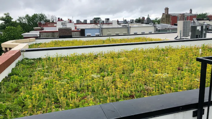 Jet Renovation Picture 10