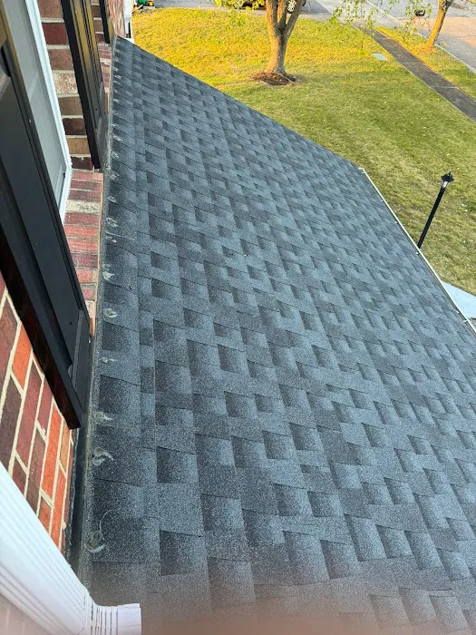 Secured Roofs Picture 1