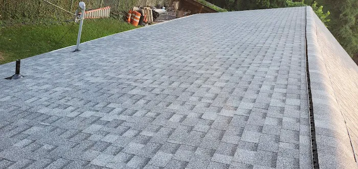 SU Modern Remodeling Picture 6