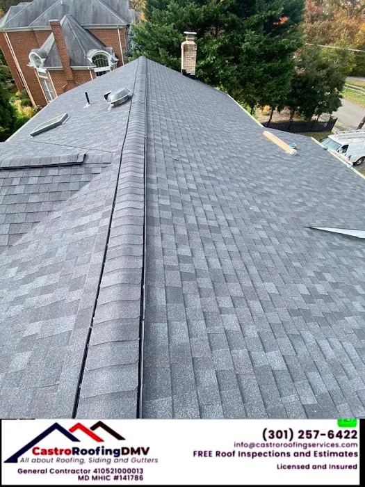Castro Roofing Picture 1