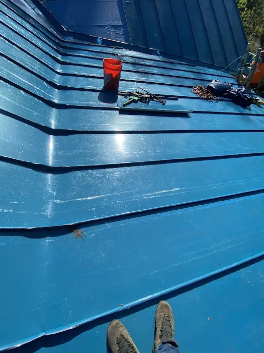 Castro Roofing Picture 5