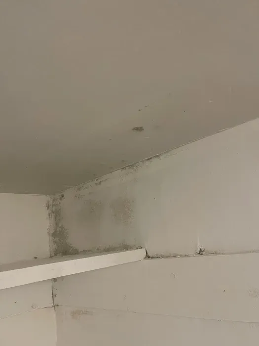 Castro Roofing Picture 4