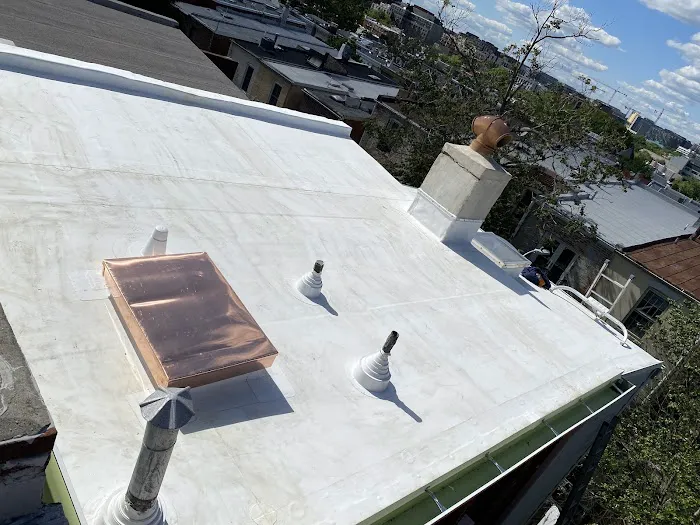Castro Roofing Picture 6