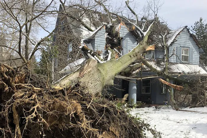 Seipp Roofing, LLC Picture 7