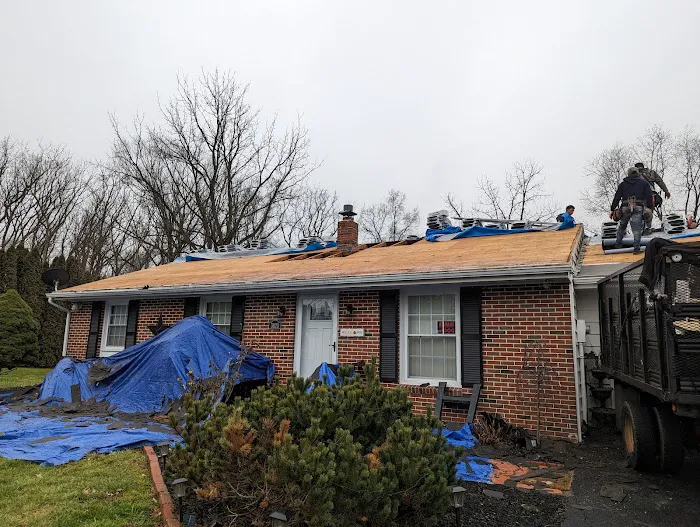 Blue Collar Services LLC Picture 4