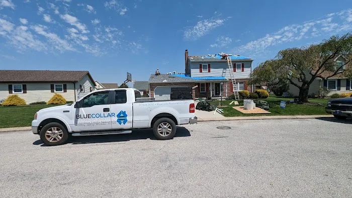 Blue Collar Services LLC Picture 5