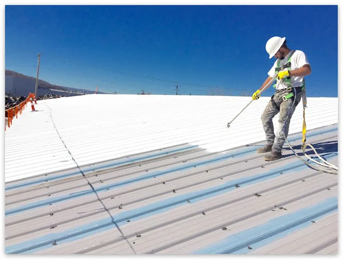 Jake's Roof Restorations Picture 4