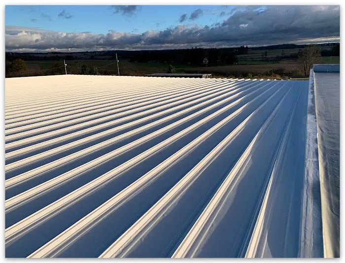 Jake's Roof Restorations Picture 10