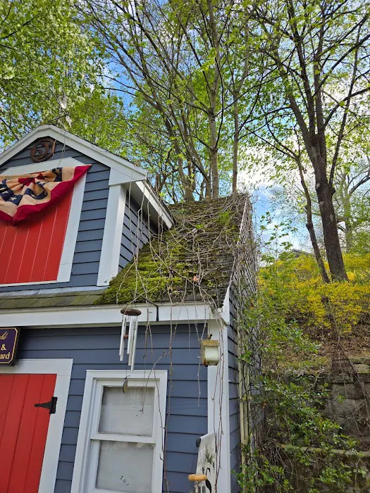 Leland Siding, Roofing & Windows Picture 2