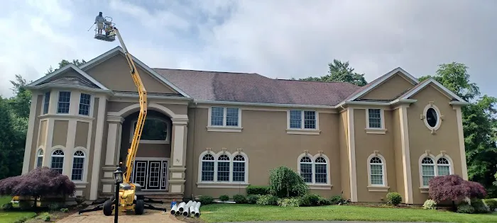 Royal Roof Cleaning Picture 2