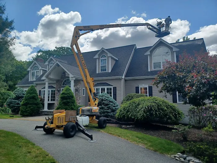 Royal Roof Cleaning Picture 4