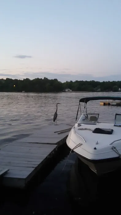Royal Roof Cleaning Picture 7