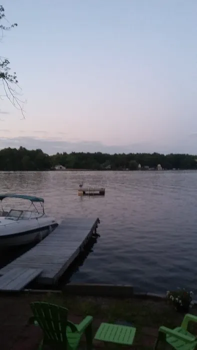 Royal Roof Cleaning Picture 3